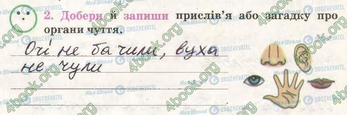 ГДЗ Природознавство 3 клас сторінка Стр53-Впр2